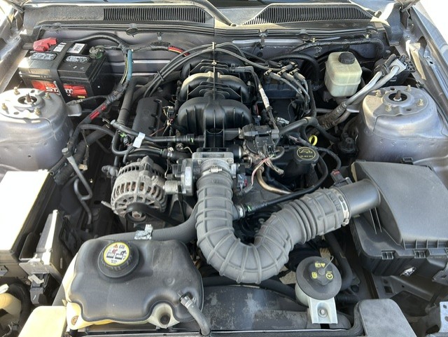 
								2007 Ford Mustang full									